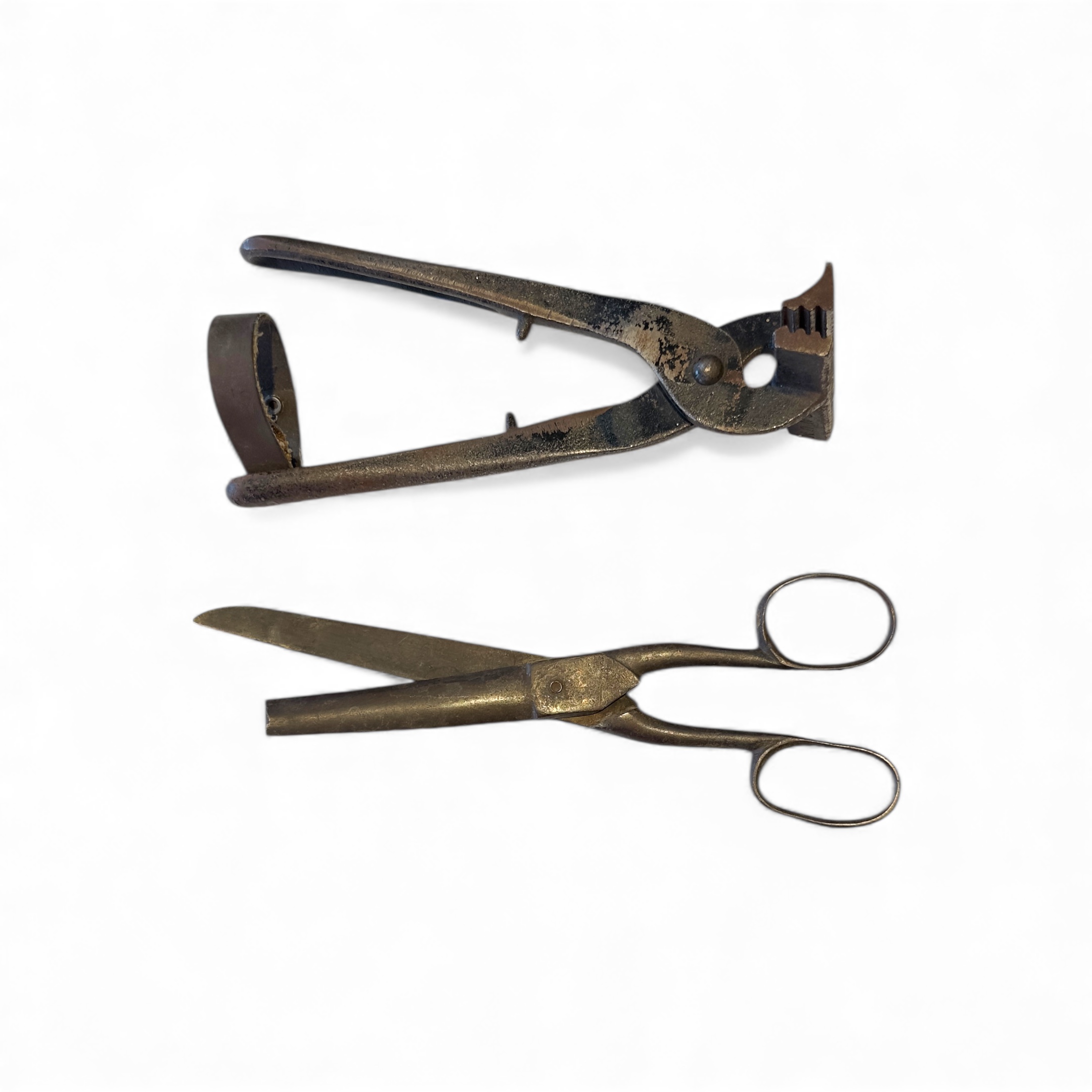 Pinzas/Tijeras finales siglo XX